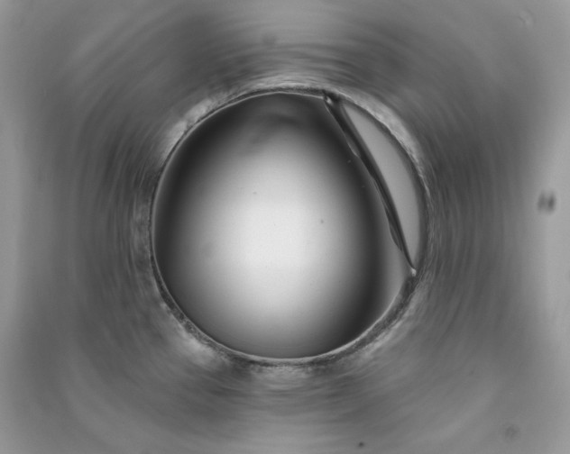 X0000090871337200708101325