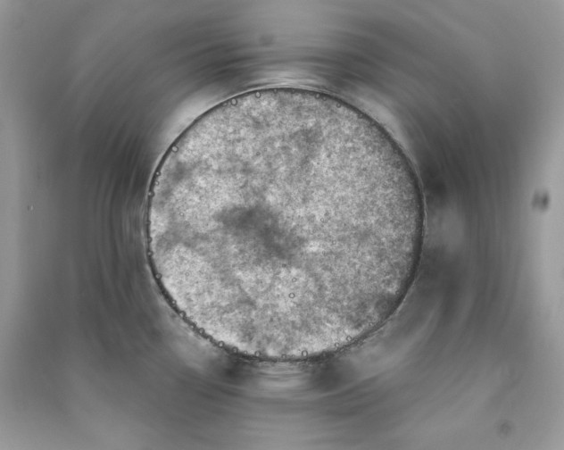 X0000090871338200708101325