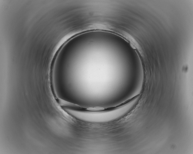 X0000090871339200708101325