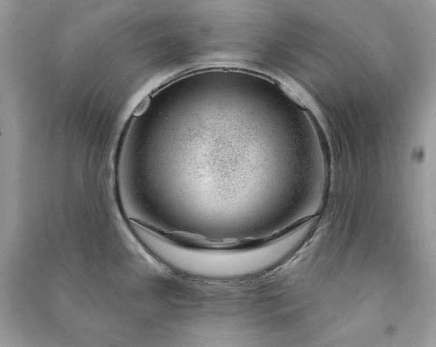 X0000090871341200708101326