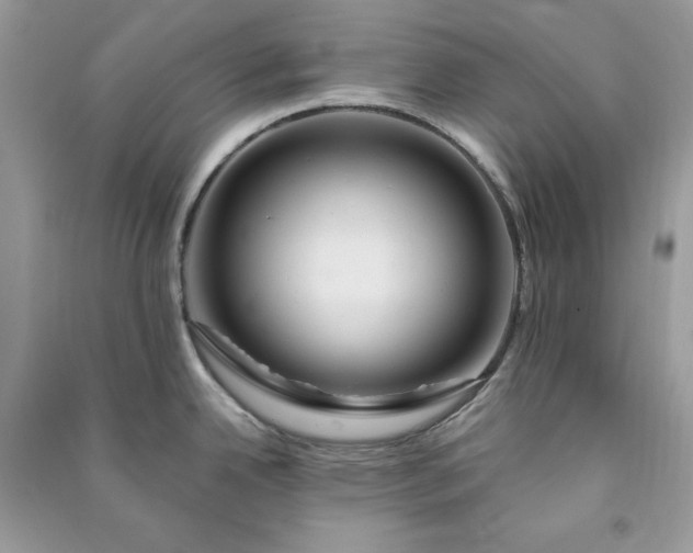 X0000090871342200708101326