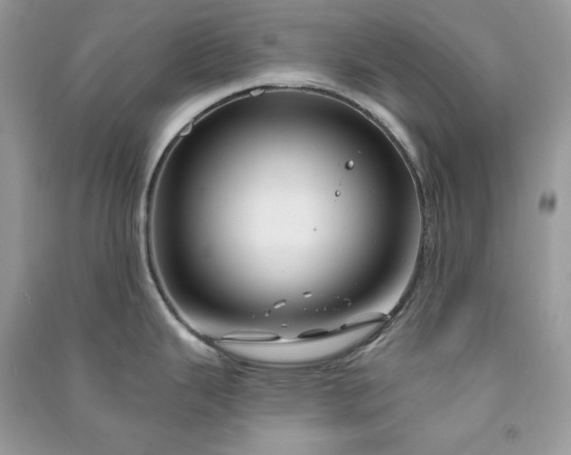 X0000090871343200708101326