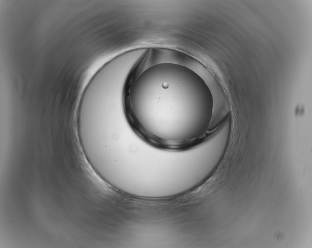 X0000090871344200708101326