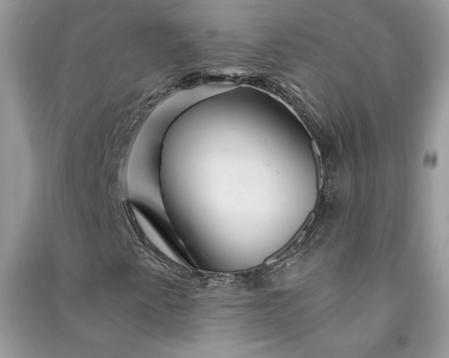 X0000090871345200708101325