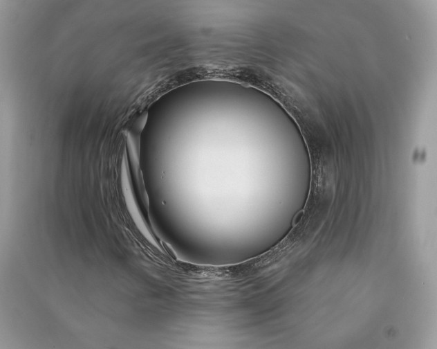 X0000090871346200708101325