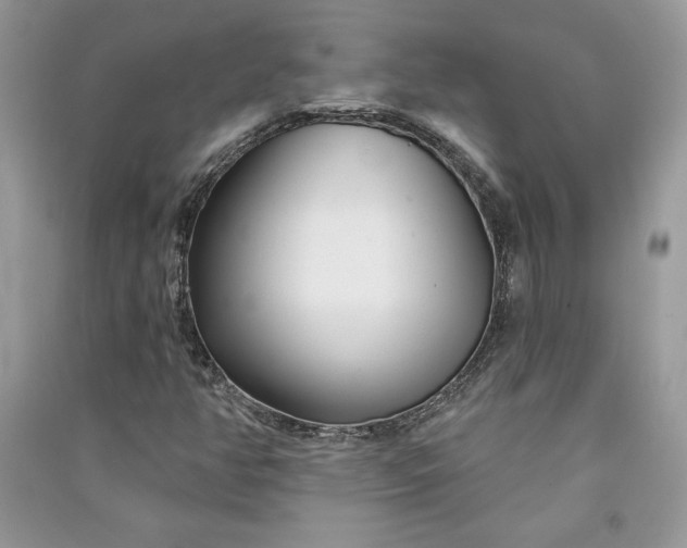 X0000090871350200708101325