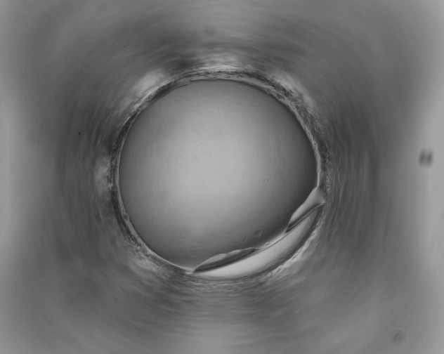 X0000090871353200708101325