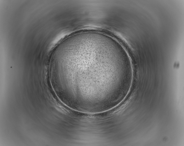 X0000090871355200708101325