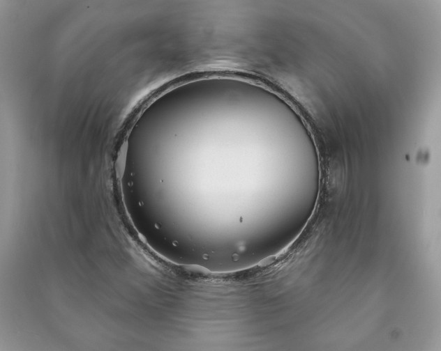 X0000090871356200708101325