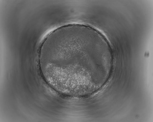 X0000090871359200708101325