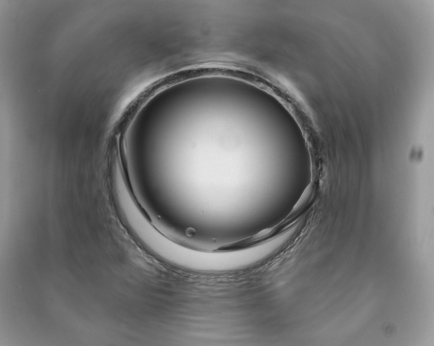 X0000090871360200708101325