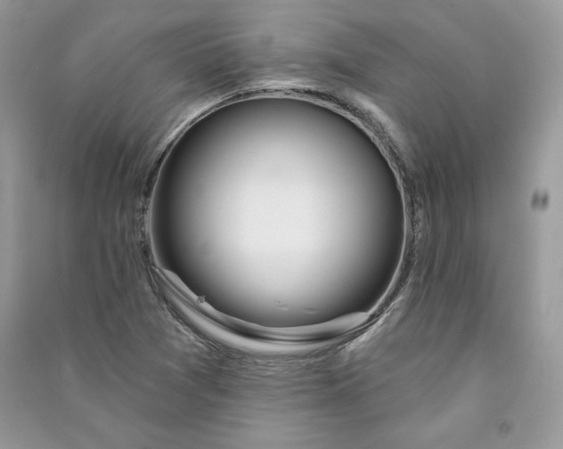 X0000090871361200708101325