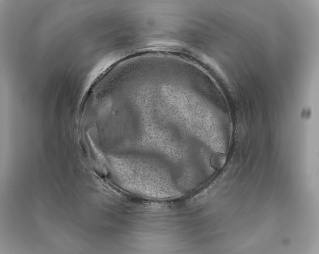 X0000090871362200708101325