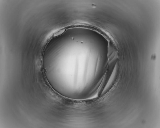 X0000090871363200708101325