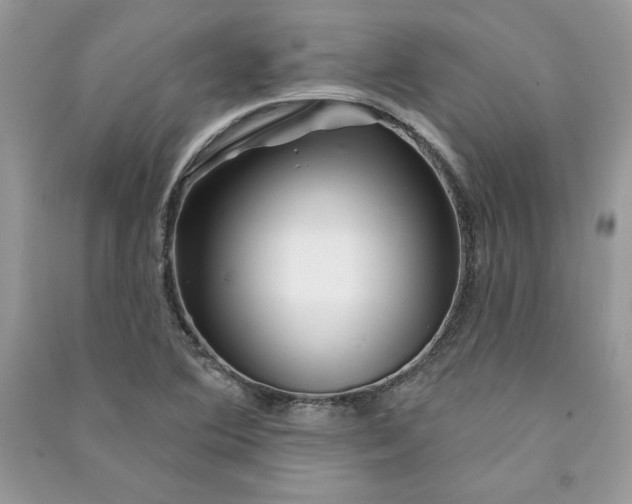 X0000090871364200708101325