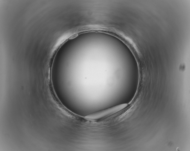 X0000090871365200708101325