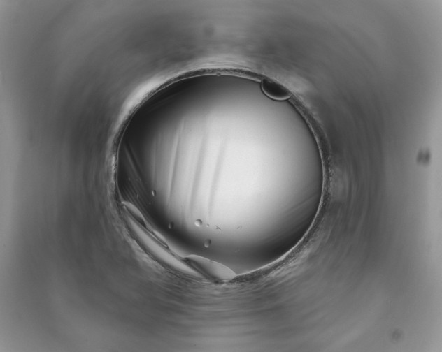 X0000090871366200708101325