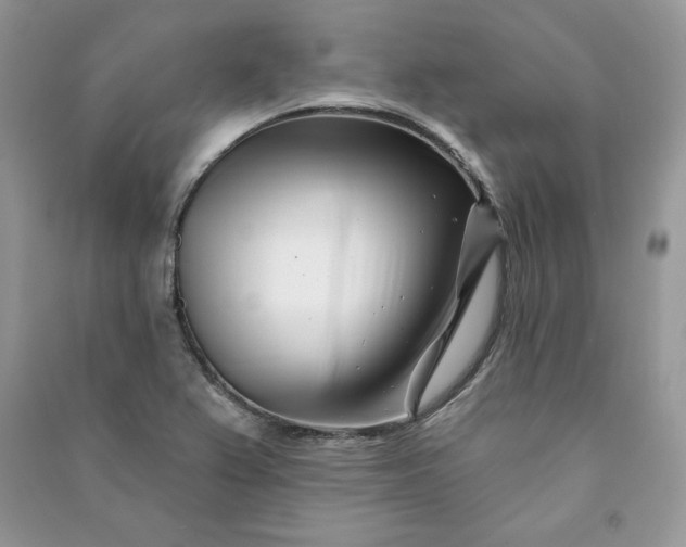 X0000090871367200708101325