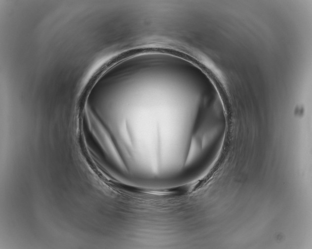 X0000090871368200708101324