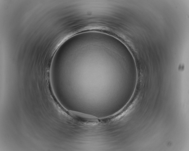 X0000090871369200708101324