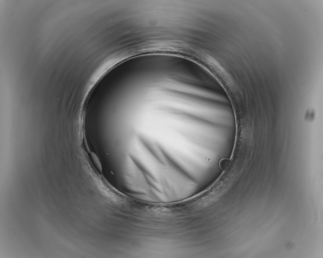 X0000090871370200708101324