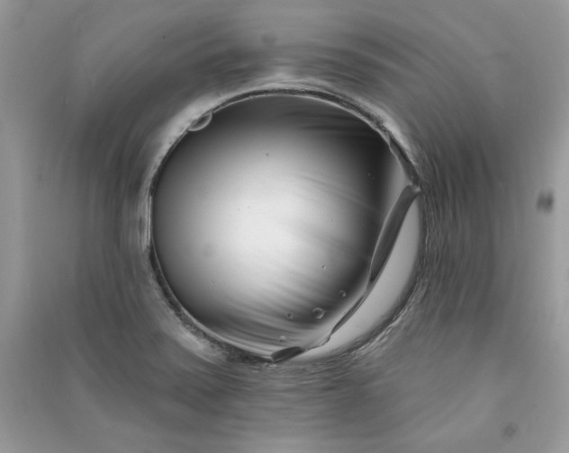 X0000090871371200708101324