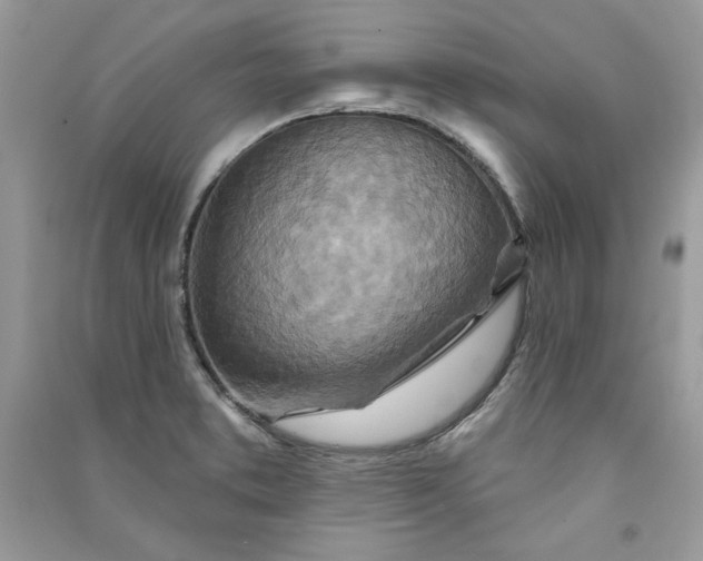 X0000090871373200708101324