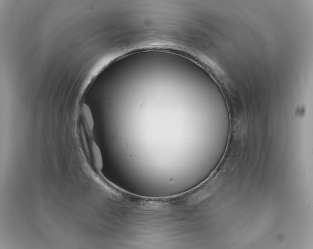 X0000090871374200708101324