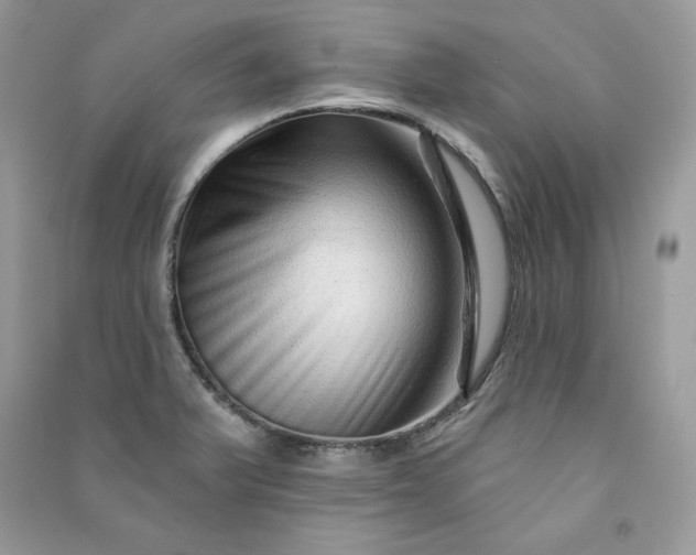 X0000090871375200708101324