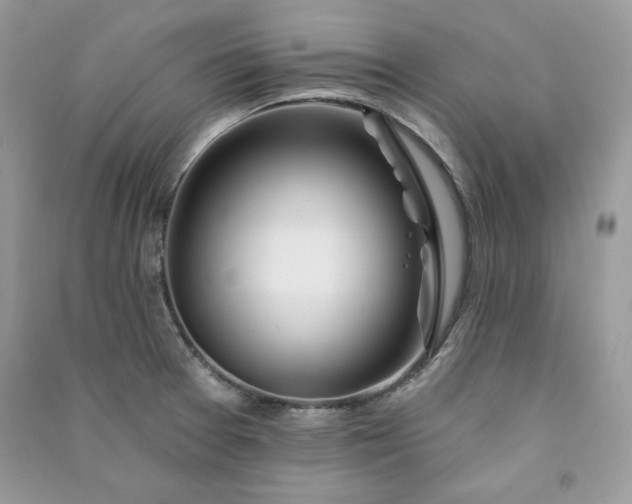 X0000090871377200708101324