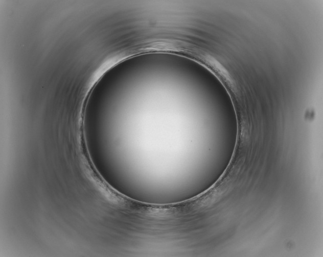 X0000090871378200708101324