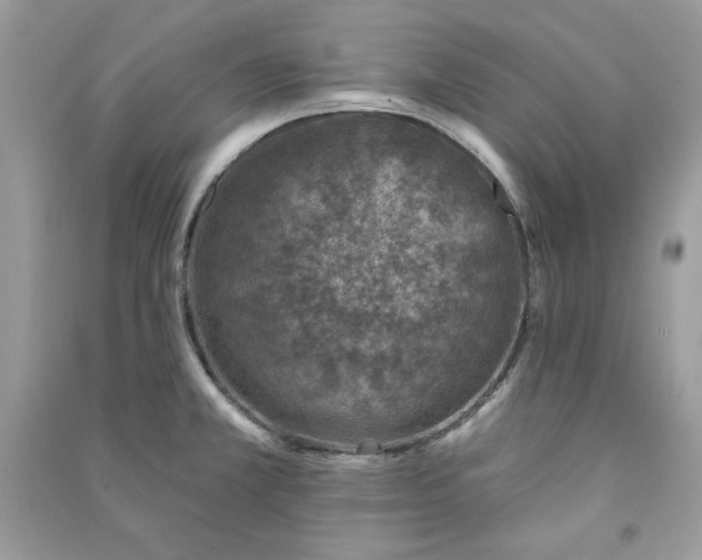 X0000090871381200708101324