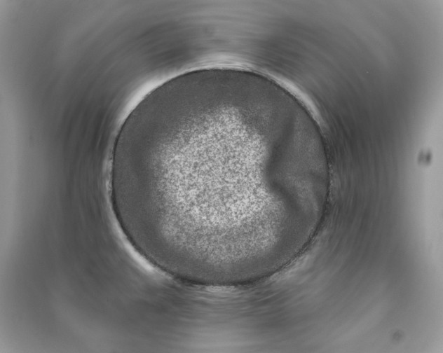 X0000090871383200708101324