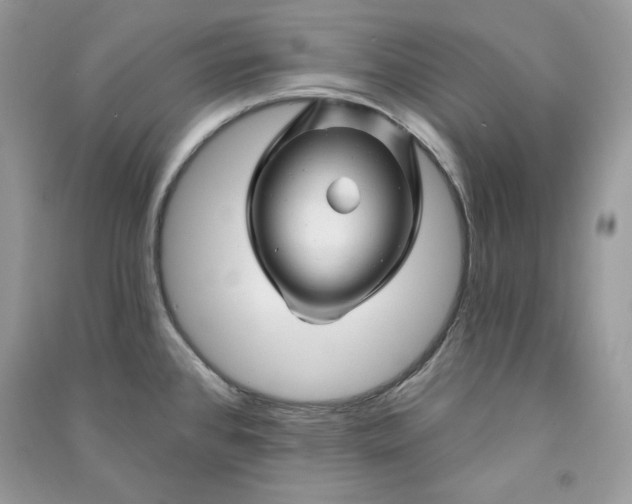 X0000090871384200708101324