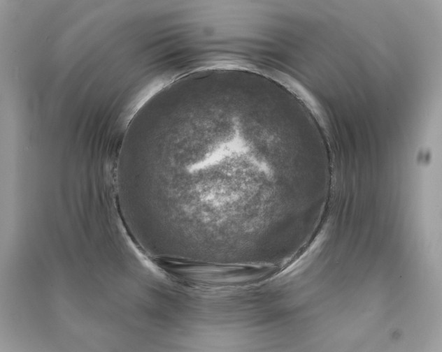 X0000090871385200708101324