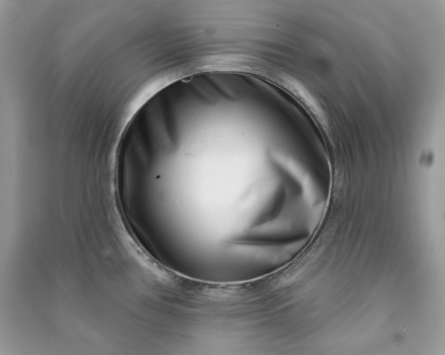 X0000090871386200708101324