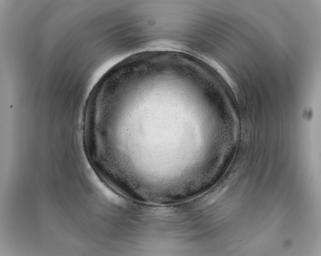 X0000090871387200708101324