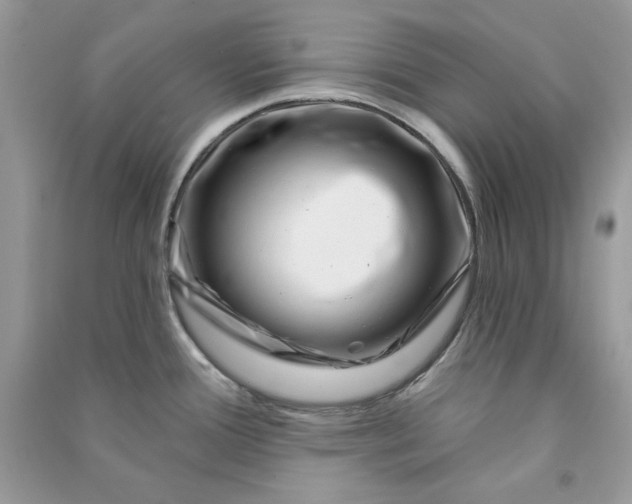 X0000090871388200708101324