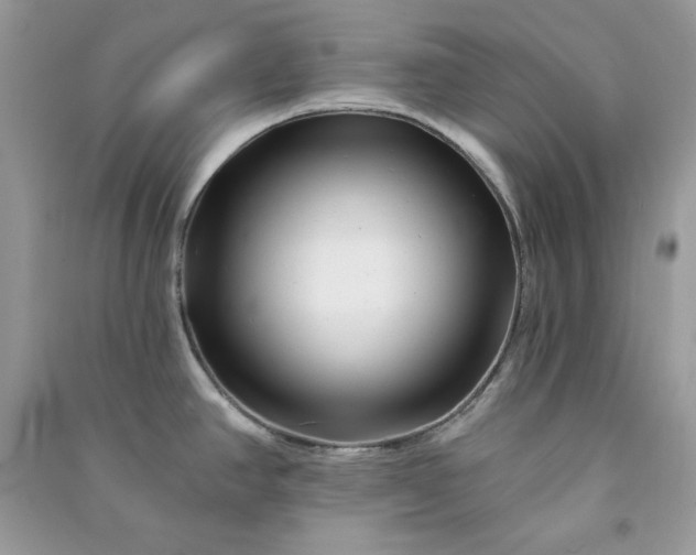 X0000090871390200708101324