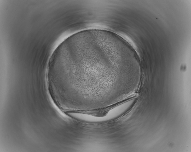 X0000090871391200708101324