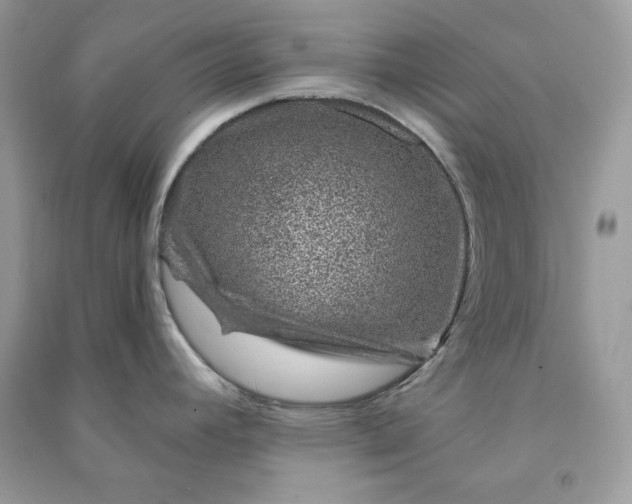 X0000090871392200708101324