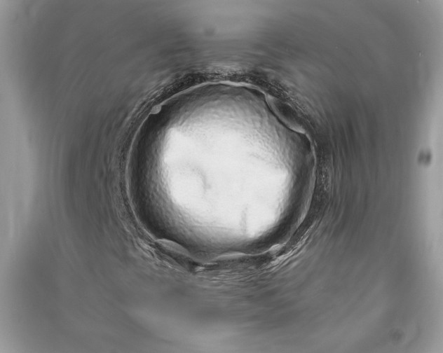 X0000090871393200708101324