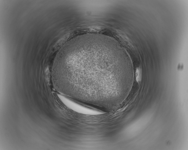 X0000090871395200708101324