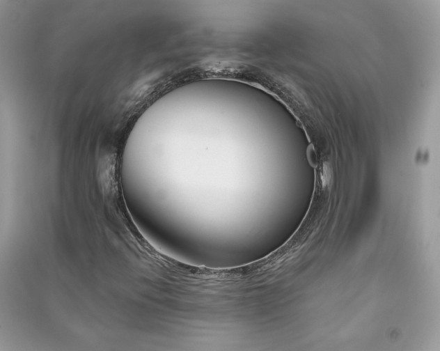 X0000090871396200708101324