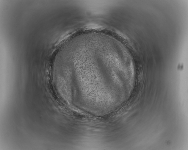 X0000090871397200708101324