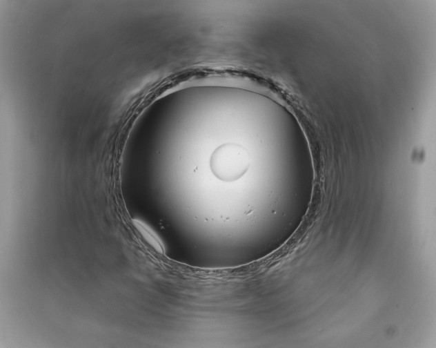 X0000090871398200708101324