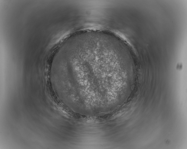 X0000090871399200708101324