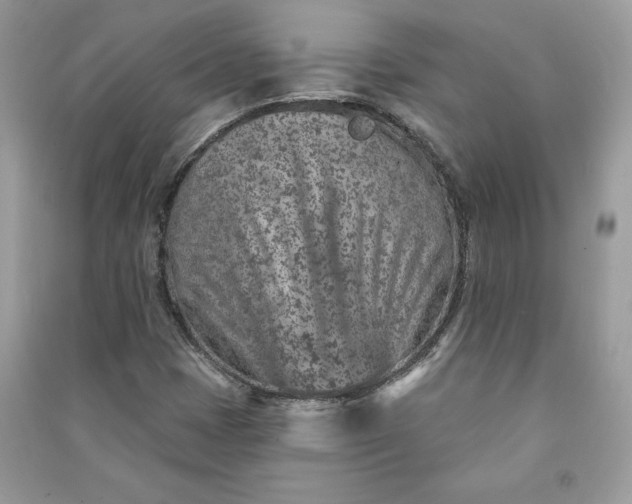 X0000090871401200708101324