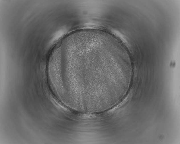 X0000090871403200708101324