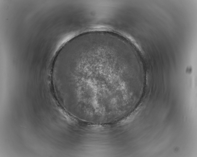 X0000090871405200708101324